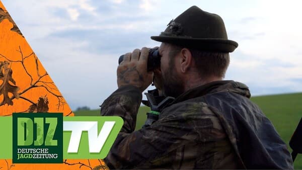 Muffeljagd in Thüringen