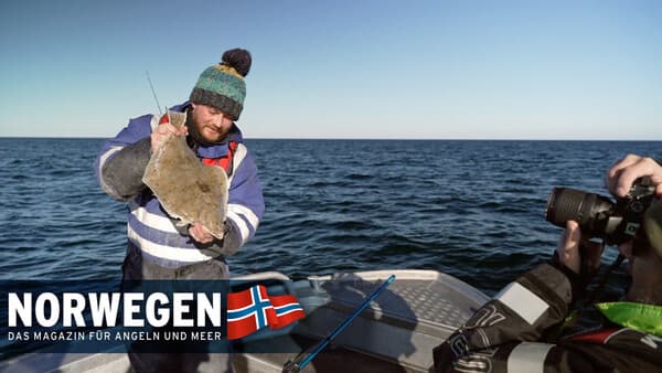 Die Schollen vom Burøysund