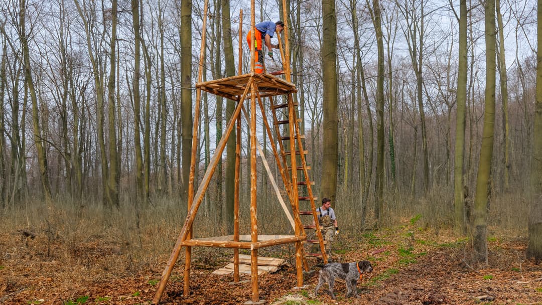 Der Teufel im Detail