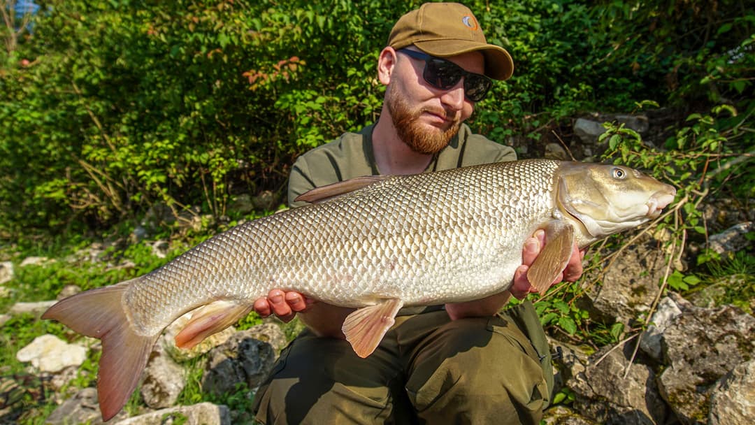  Besser Angeln: 10 Top-Tipps für große Barben