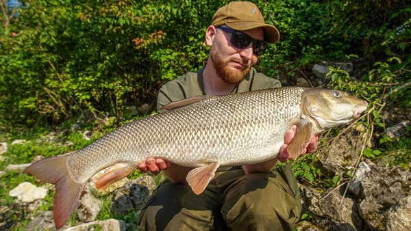  Besser Angeln: 10 Top-Tipps für große Barben
