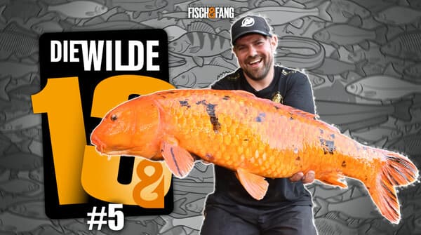 Die Wilde 13: Folge 5