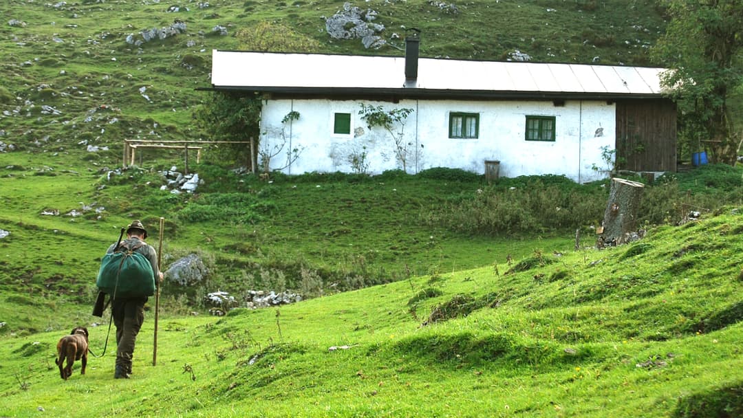 Der Baron und der Wof