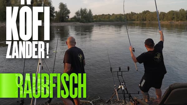 Mit der Feeder-Rute und Grundel auf Zander