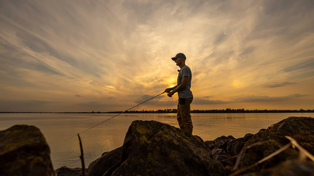Wie bewegen sich Zander im Tagesverlauf?