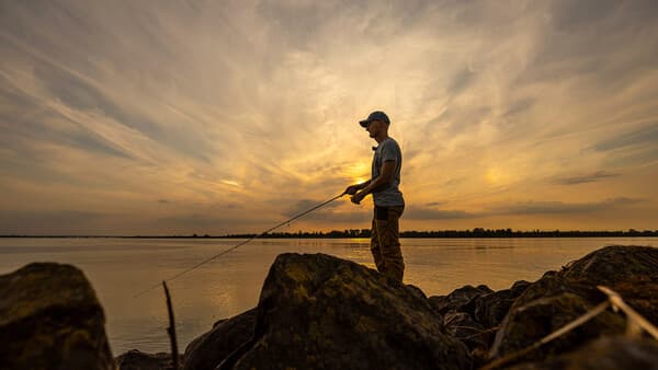 Wie bewegen sich Zander im Tagesverlauf?