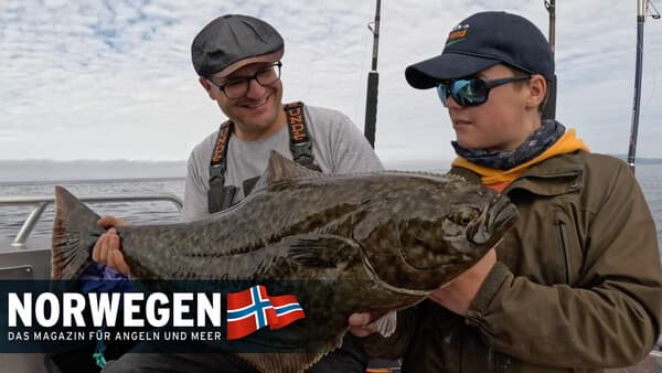 Heilbutt für Einsteiger