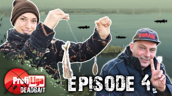 Profi-Liga Deadbait: Folge 4