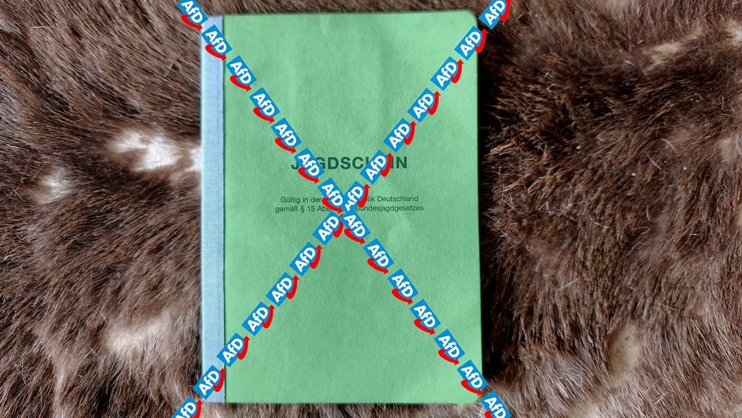 Politische Entwaffnung