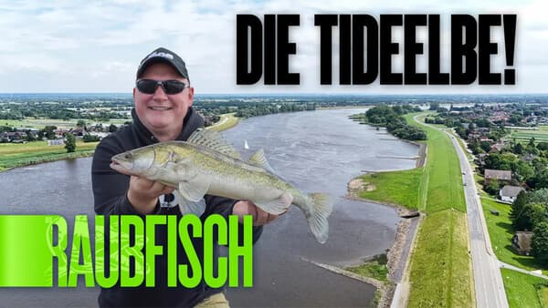 Die Tideelbe!