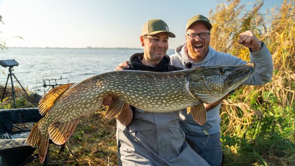 So fangen die Experten