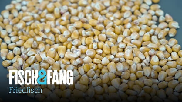 Partikel 1x1: Hartmais