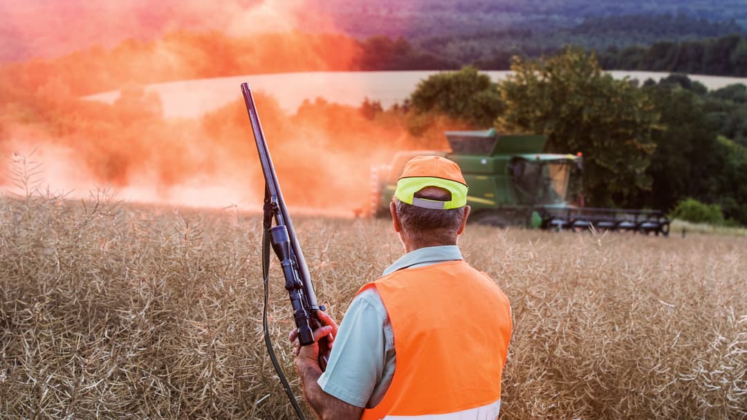 Was die Praxis lehrt