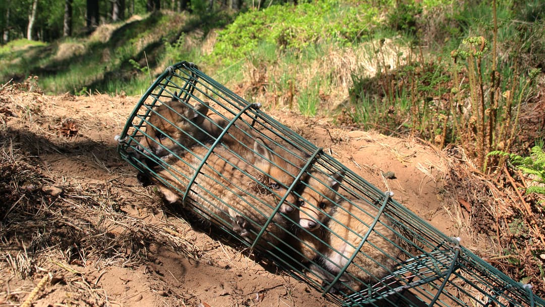 Im Namen der Artenvielfalt