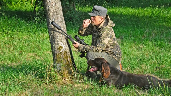Den treuen Hund zur Seite