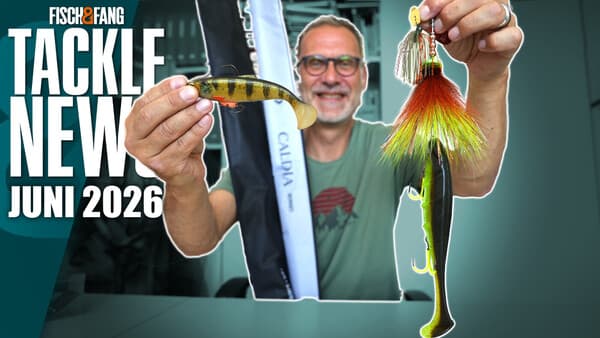 Tackle-News: Juni 2026