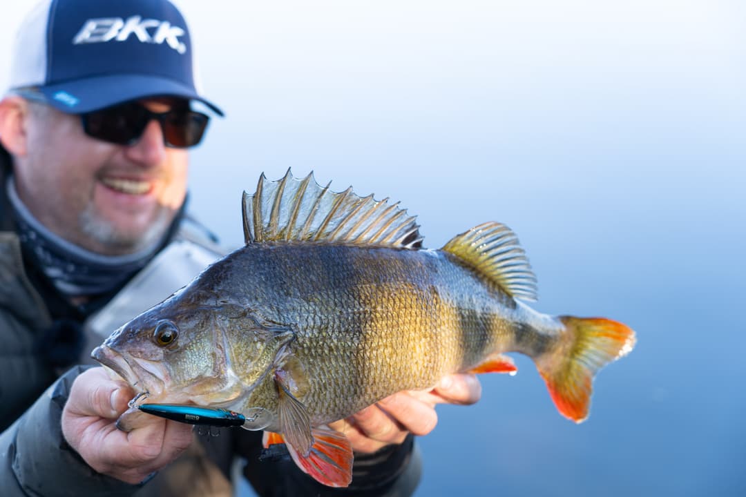 Manche mögen's hart