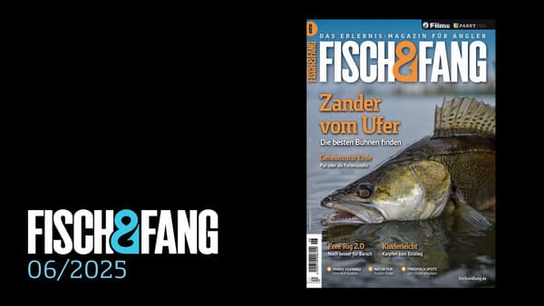 FISCH & FANG 06/2025
