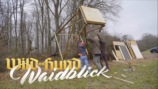 Waidblick März 2025