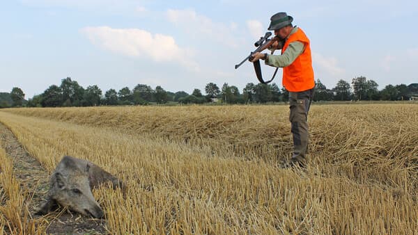   Strafbarer „Gnadenschuss“