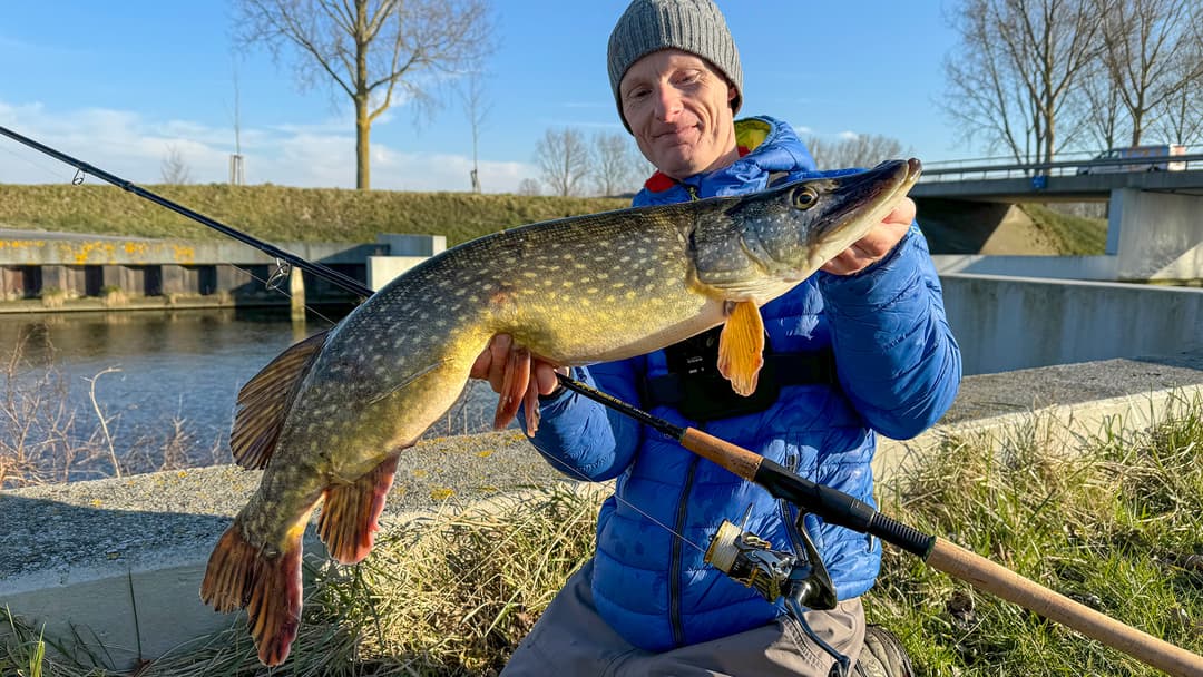 Die perfekte Hechtrute