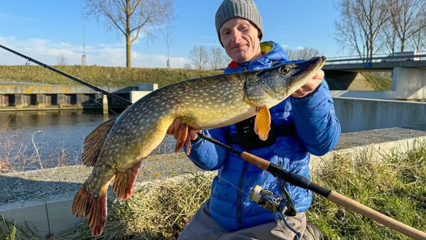 Die perfekte Hechtrute