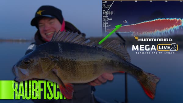 Wir testen das neue Mega Live 2 von Humminbird