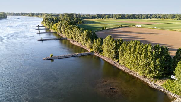 R(h)eingeangelt 5: Zwischen Mannheim und Mainz