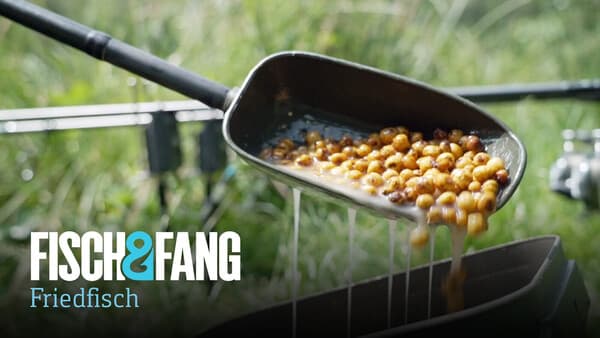 Partikel 1x1: Tigernuss