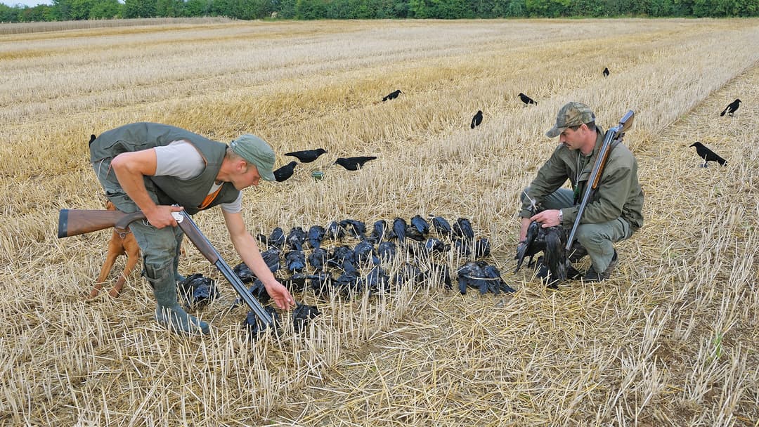 Herausforderung  & Freude