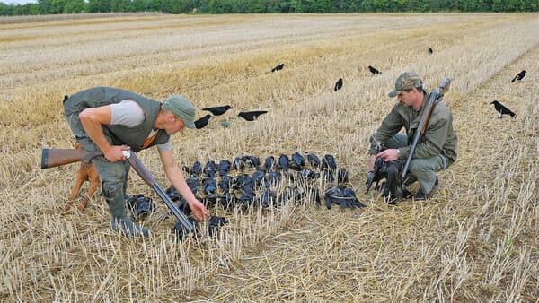 Herausforderung  & Freude