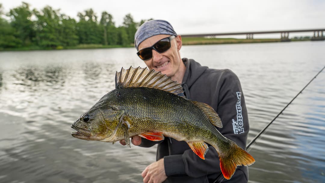 YPC Bank 2025 - so lief es wirklich!