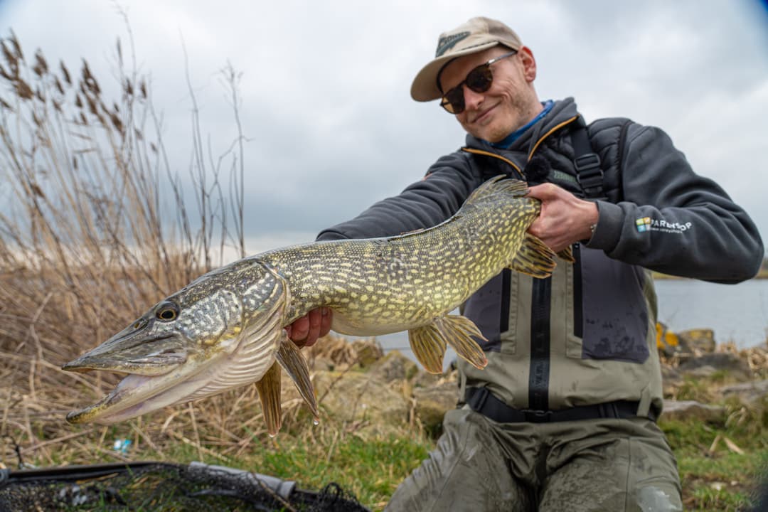 Mit viel Verve zum Hecht