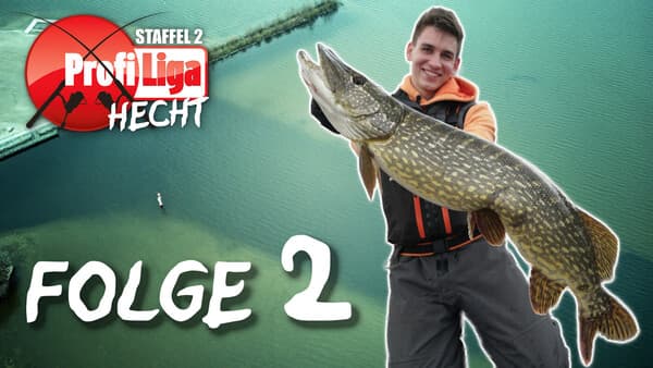 Profi-Liga Hecht 2025: Folge 2