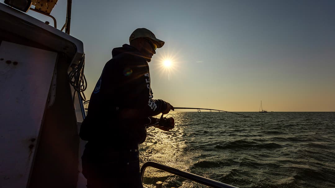 Bunte Beute aus dem Binnenmeer