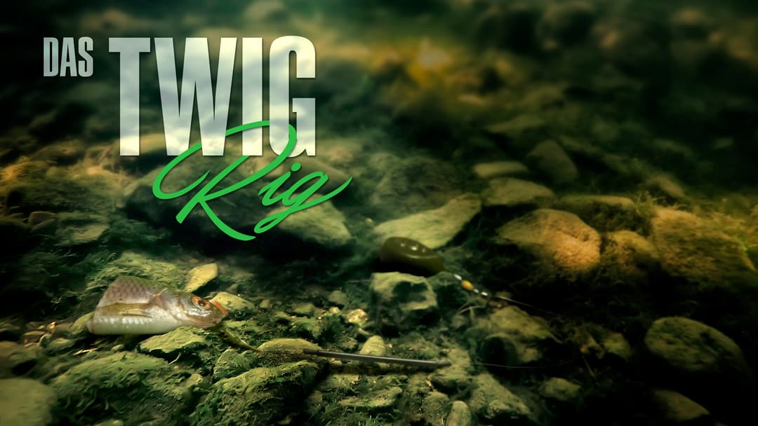 Die Montage: Das Twig-Rig