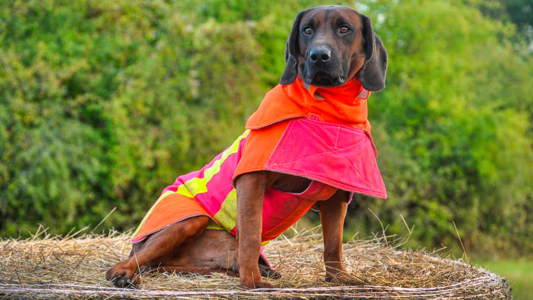 Der Weg zum Maßanzug