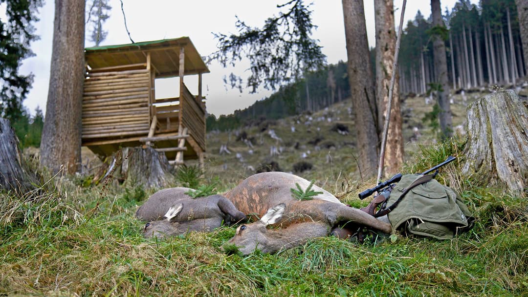 „Verführter Wilderer“ & Hochsitz-Schrott