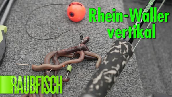 Vertikalwaller im Rhein