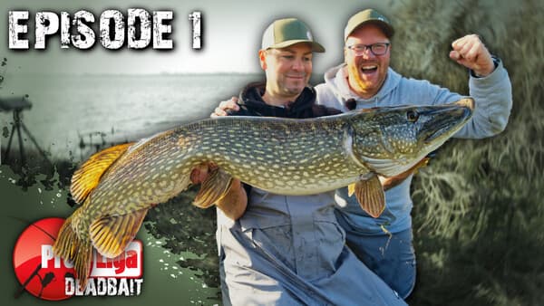 Profi-Liga Deadbait: Folge 1