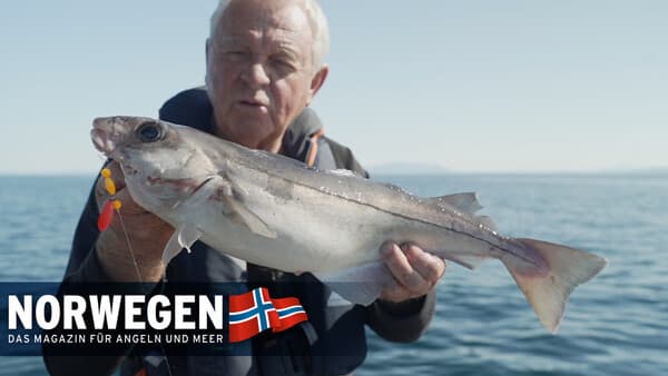 "Hier strahlen Angler um die Wette!"