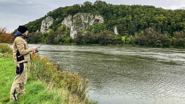 Die Donau zwischen Irnsing und Mariaort