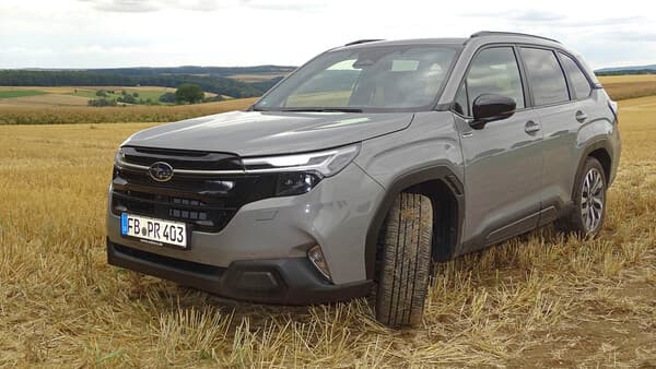 Ihr Favorit im Revier