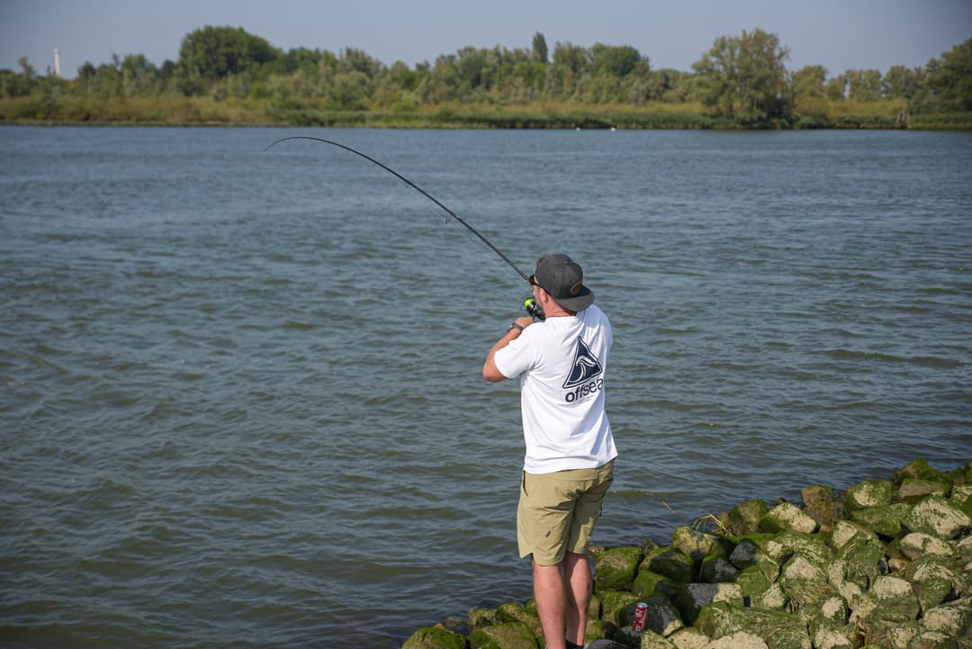 Raubfisch Basiscs: Spinnruten Teil 1