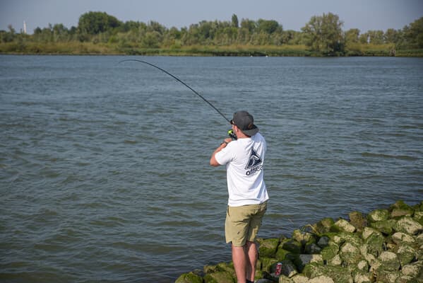 Raubfisch Basiscs: Spinnruten Teil 1