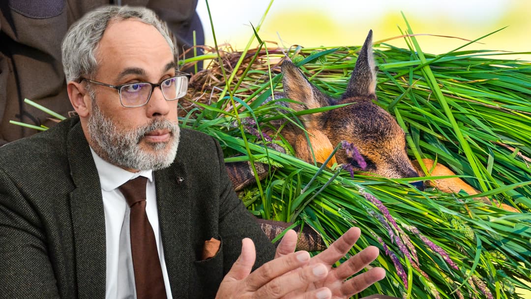 Kitzrettung gehört zur Hegepflicht