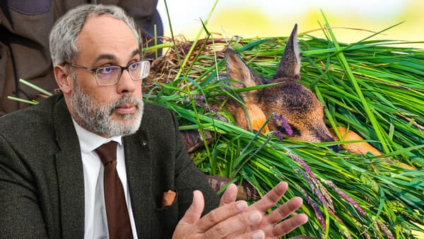 Kitzrettung gehört zur Hegepflicht