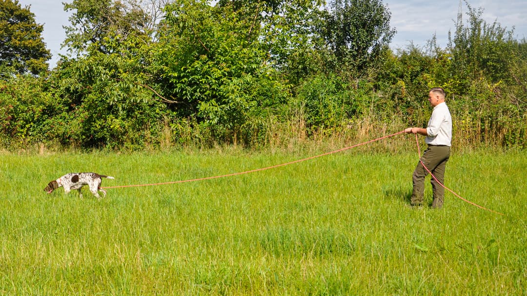 Kontrolliert, markiert, funktioniert!