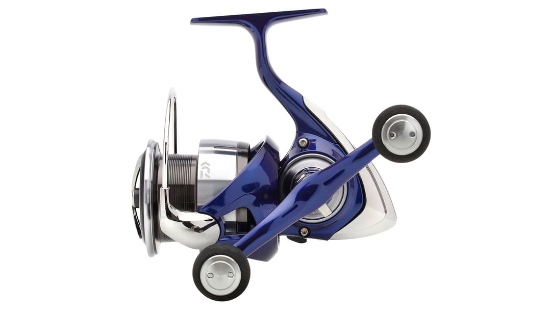Daiwa 24 TDR Match & Feeder
QD
