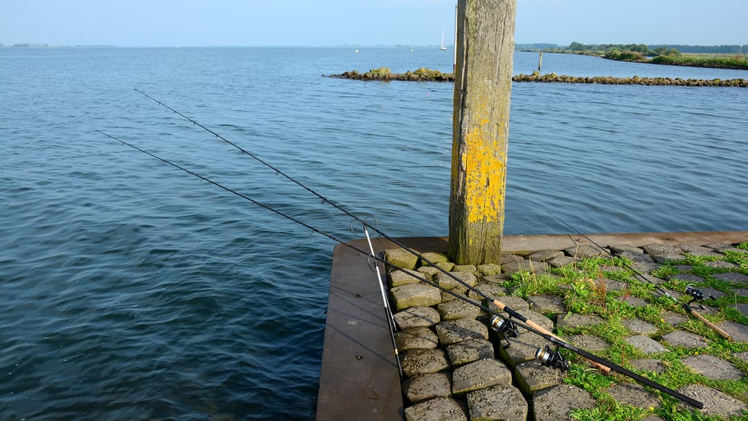 Deadbaiten im Sommer